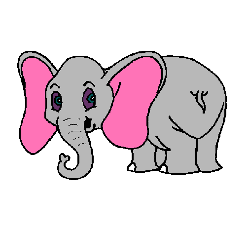 Elefante pequeño