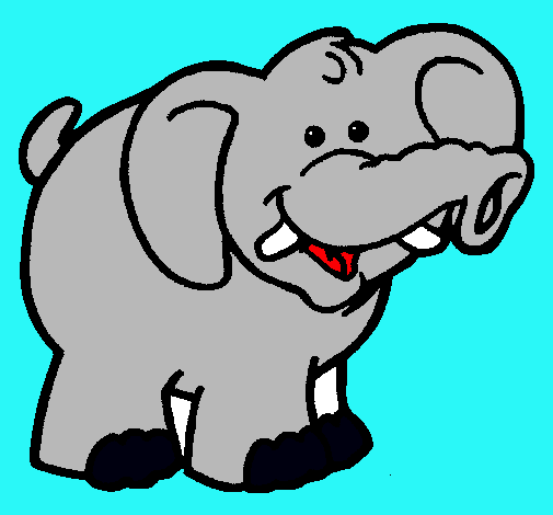 Elefante