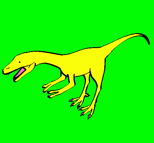 Velociraptor II