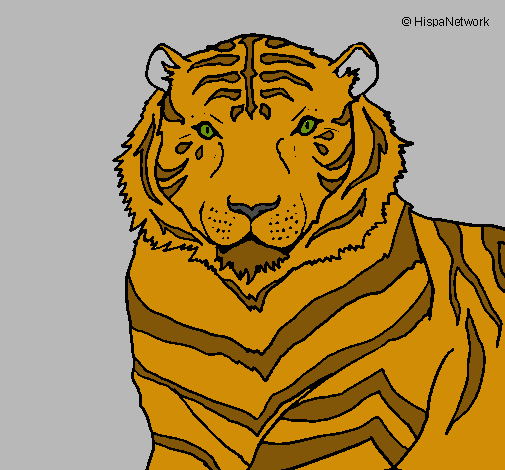 Tigre