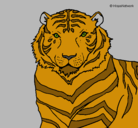 Dibujo Tigre pintado por JuanAlfaro