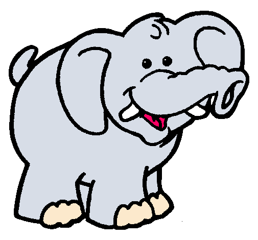 Elefante