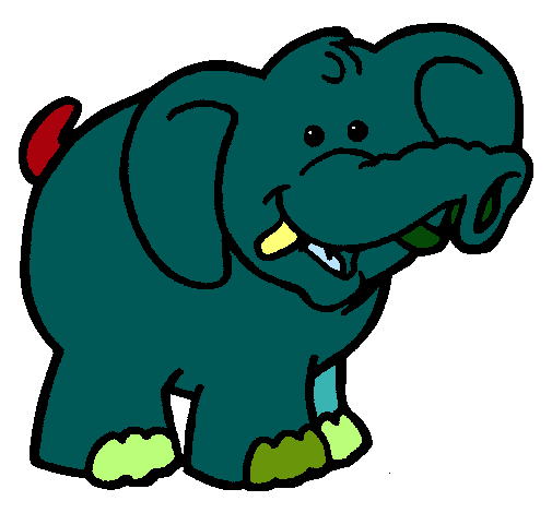 Elefante