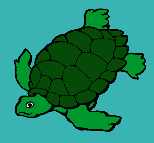 Tortuga