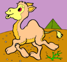 Dibujo Camello pintado por jazminsilva