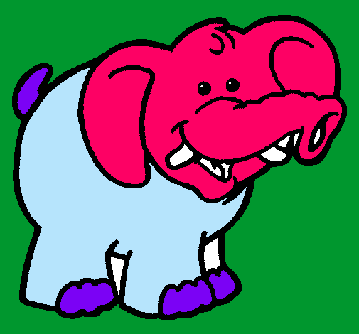 Elefante