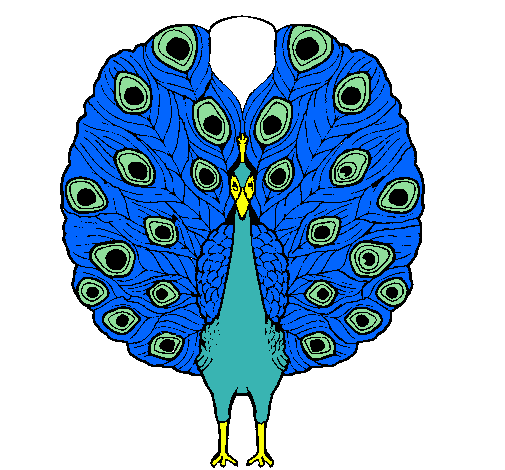 Pavo real