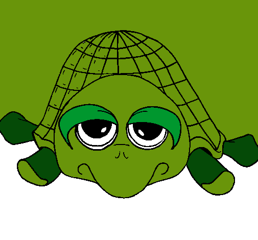 Tortuga