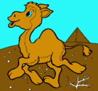 Dibujo Camello pintado por chritian
