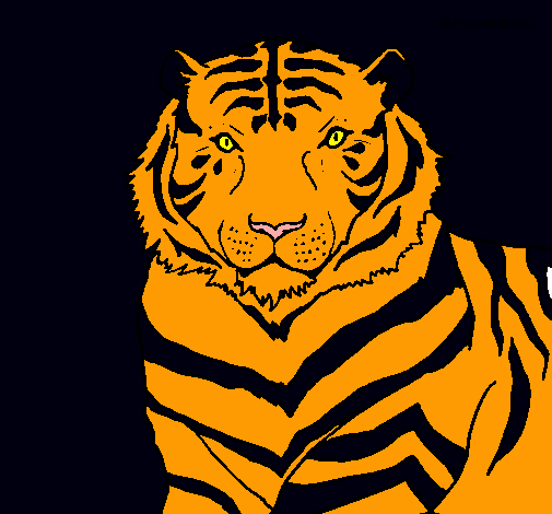 Tigre