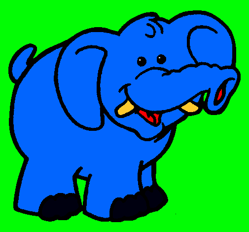 Elefante