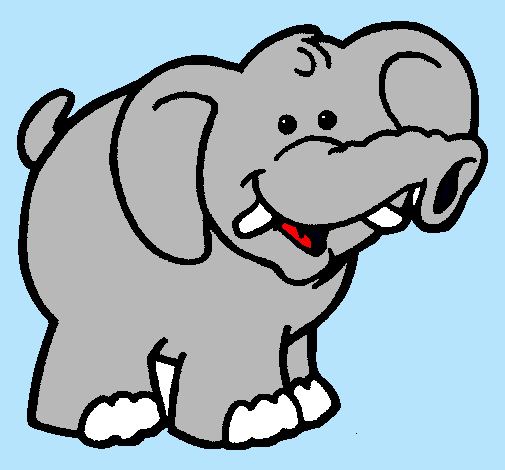 Elefante