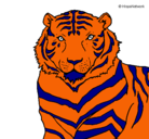 Dibujo Tigre pintado por alex