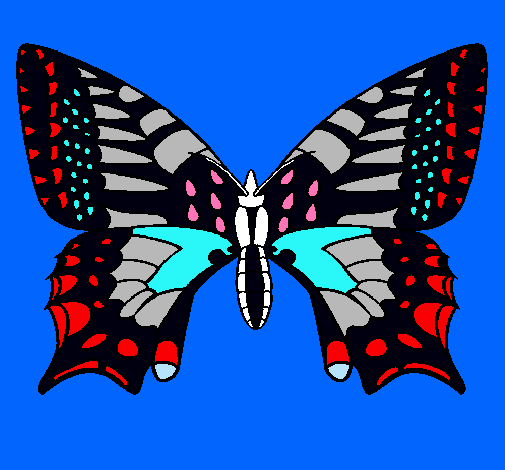 Mariposa 5