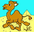 Dibujo Camello pintado por maxito