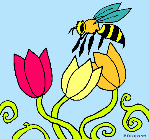 Abeja