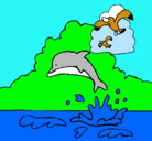 Dibujo Delfín y gaviota pintado por giovanni