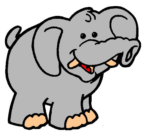 Elefante