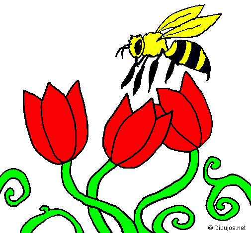 Abeja