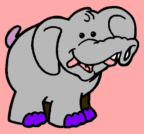 Elefante