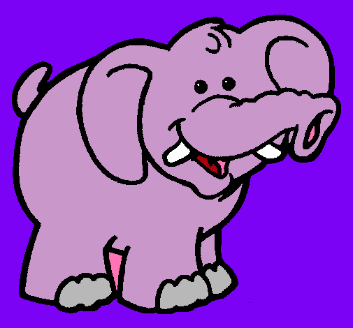 Elefante