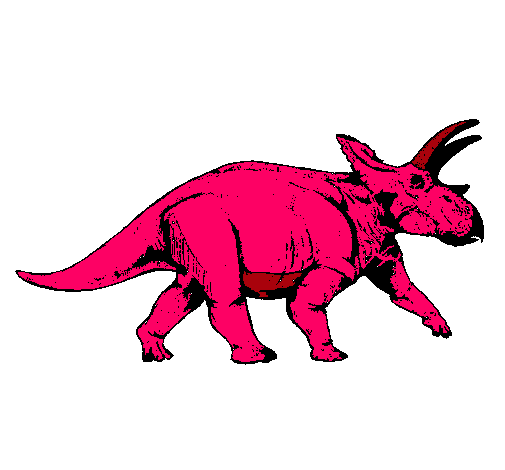 Triceratops