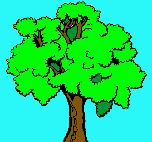 Árbol