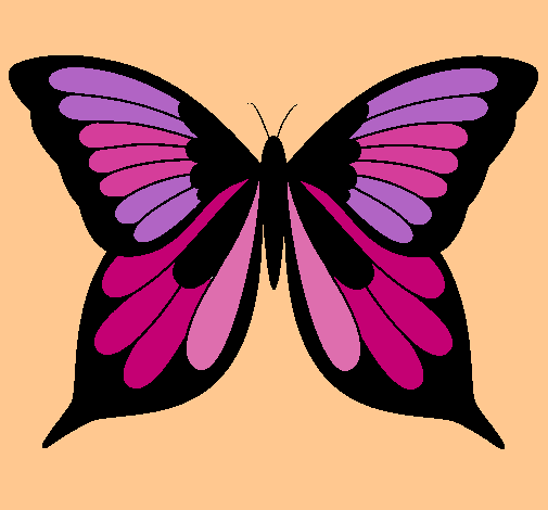 Mariposa