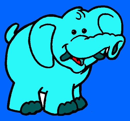 Elefante