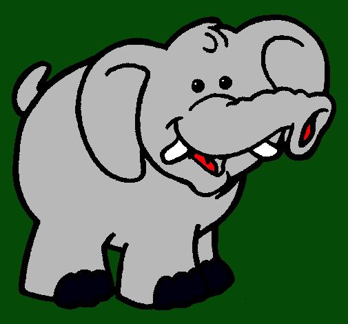 Elefante