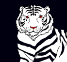 Dibujo Tigre pintado por johannannddrreess