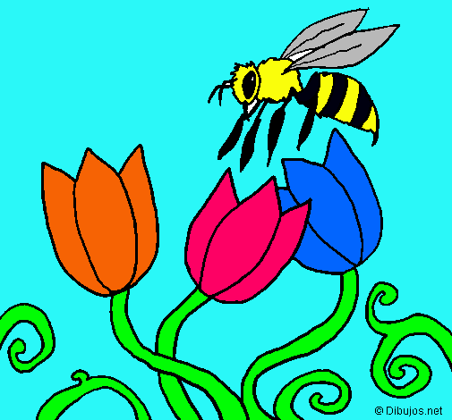 Abeja