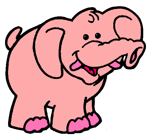 Elefante