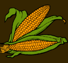 Dibujo Mazorca de maíz pintado por granados
