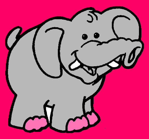 Elefante