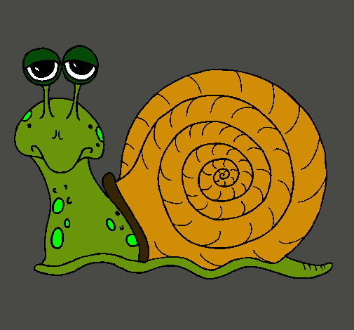 Caracol