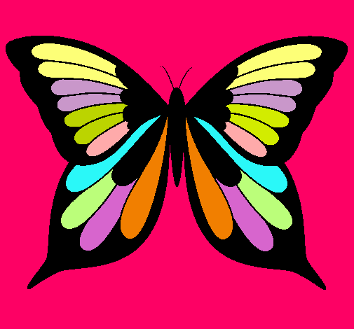 Mariposa