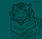 Dibujo Tigre pintado por SEBAS