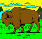 Dibujo Búfalo  pintado por eulices