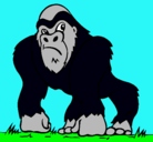 Dibujo Gorila pintado por maxito