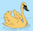 Dibujo Cisne en el agua pintado por MARGARITA