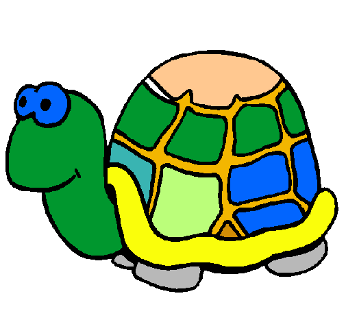 Tortuga