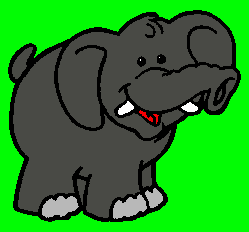 Elefante