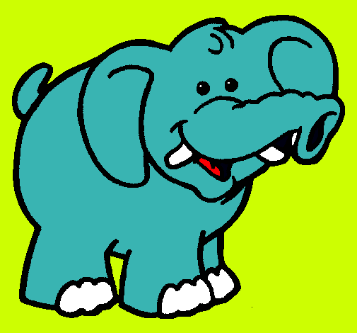 Elefante