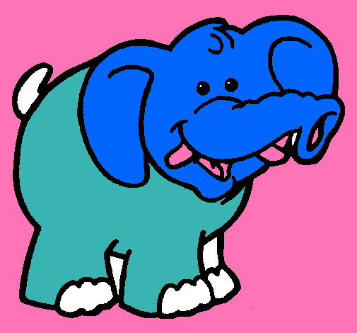 Elefante