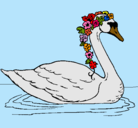 Dibujo Cisne con flores pintado por MARGARITA