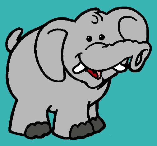 Elefante