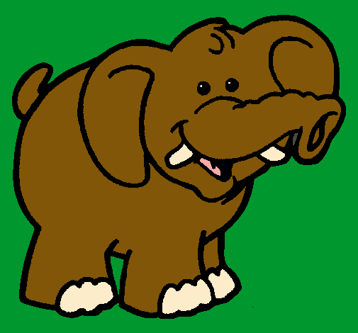 Elefante