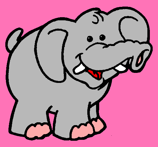 Elefante