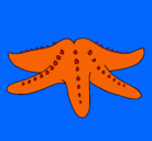 Dibujo Estrella de mar pintado por franchesca